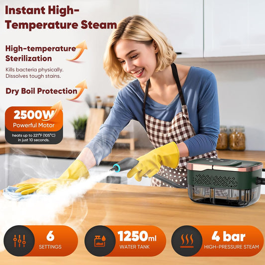 Steam Cleaner, 2500W Home Handheld Grout Steam Cleaning Machine with 1.32QT Transparent Tank & 10 Attachments for Range Hood, Stove, Tile, Upholstery, Car Detailing & More (Green/Gold)