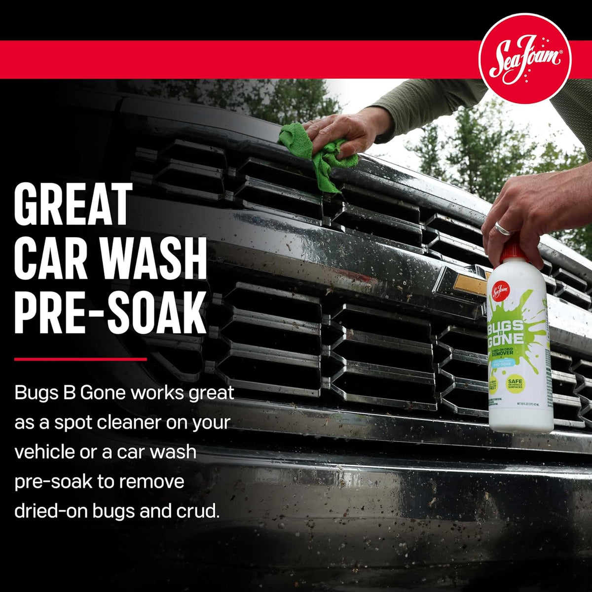 Sea Foam Bugs B Gone Bug and Crud Remover, BBG32, 1 Gallon, Pack of 1