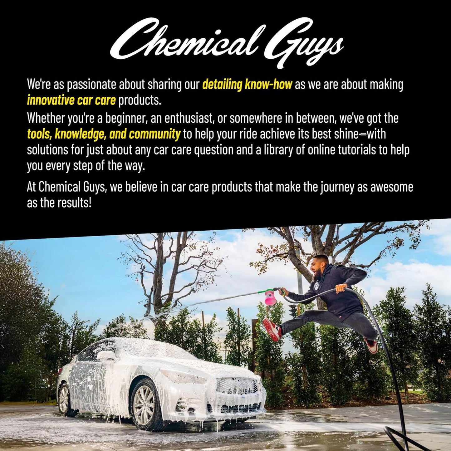 Chemical Guys Wheelie All Exterior Surface and Wheel Brush, Wheel Cleaner Brush with Soft Bristles, Safe Cleaning of Rims, Tires, and Exterior Surfaces on Cars, Trucks, Motorcycles, RVs, & More, Green