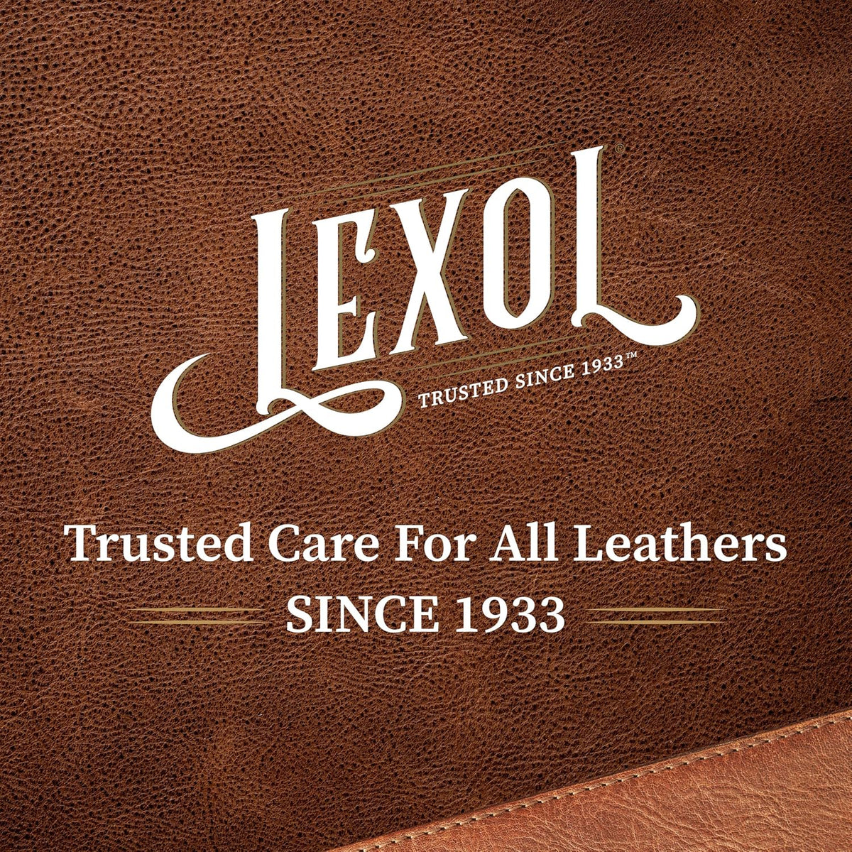 Lexol All Leather Cleaner 16.9 oz – Deep Cleaning formula for car interior, couches, furniture, shoes, boots, purses, jackets, gloves, saddles and motorcycle gear