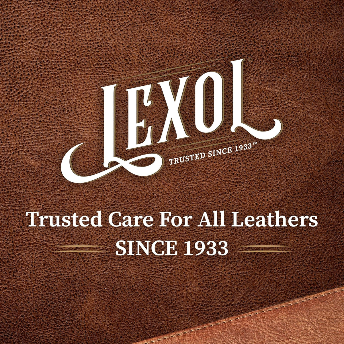 Lexol All Leather Conditioner for Car Seats and Interiors, Couches and Furniture, Shoes and Boots, Bags and Jackets, Baseball Gloves, Horse Saddles, 16.9 oz