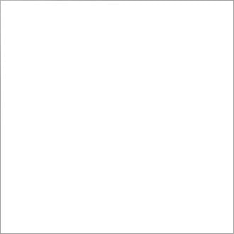 Dupli-Color DA1692 Multi-Purpose Acrylic Enamel Spray Paint - Crystal Clear - 12 oz. Aerosol Can