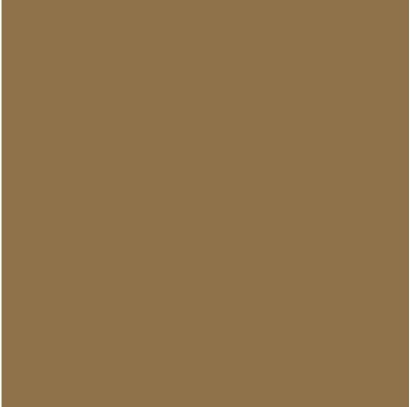 Rust-Oleum 302151 Universal All Surface Clear Topcoat Spray, 11 oz, Dead Flat Clear - Colors A