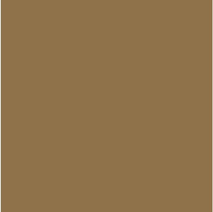 Rust-Oleum 302151 Universal All Surface Clear Topcoat Spray, 11 oz, Dead Flat Clear - Colors A