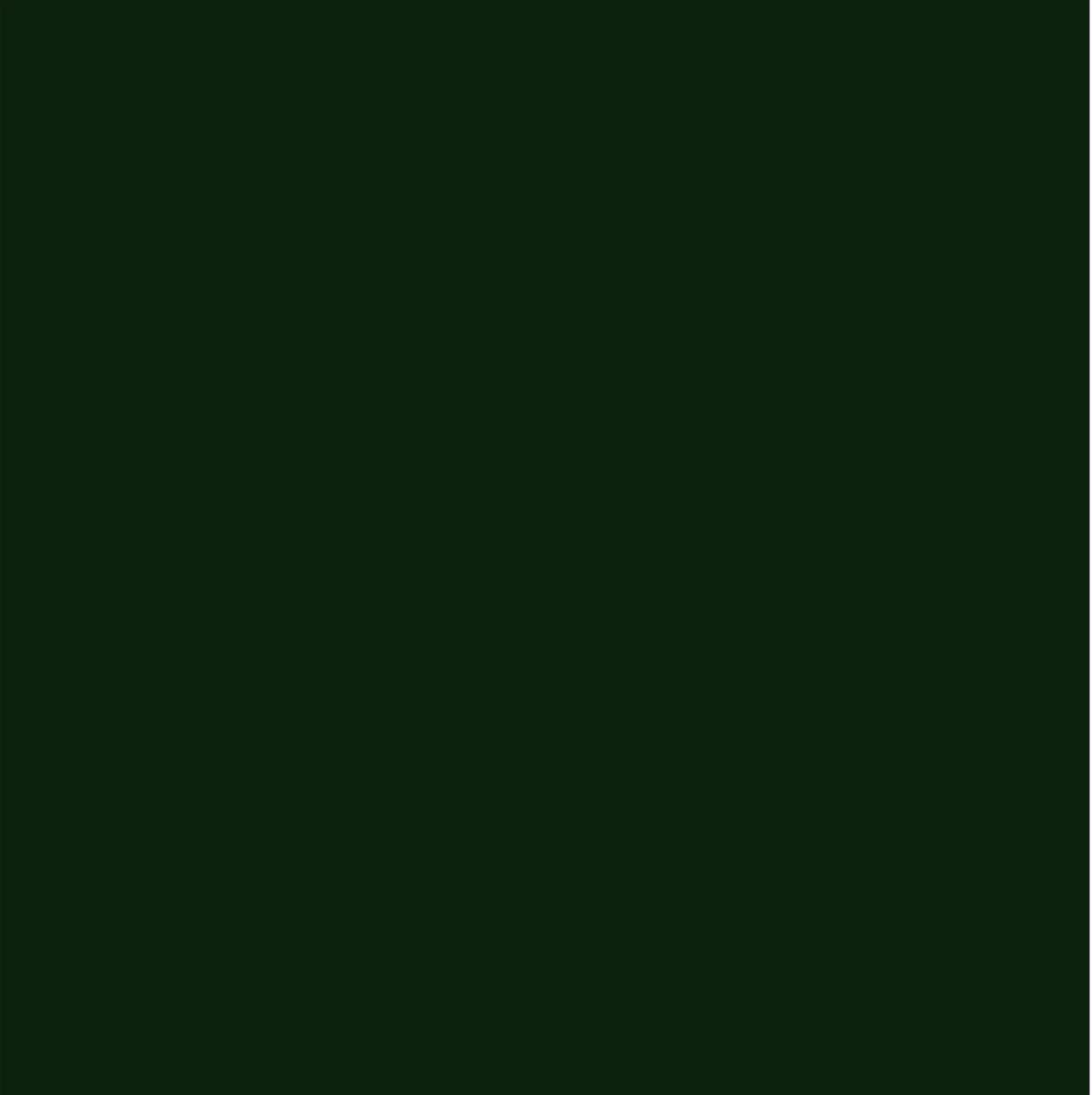 Dupli-Color EBCL01257 Clear Perfect Match Automotive Top Coat - 8 oz. Aerosol - Colors A
