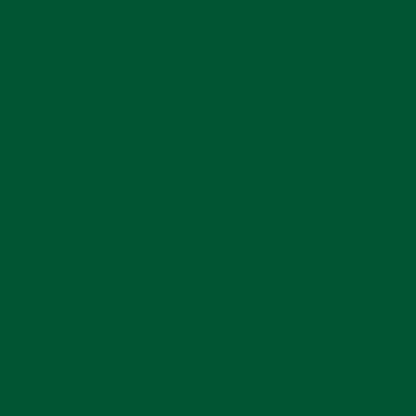 Dupli-Color EBCL01257 Clear Perfect Match Automotive Top Coat - 8 oz. Aerosol - Colors E