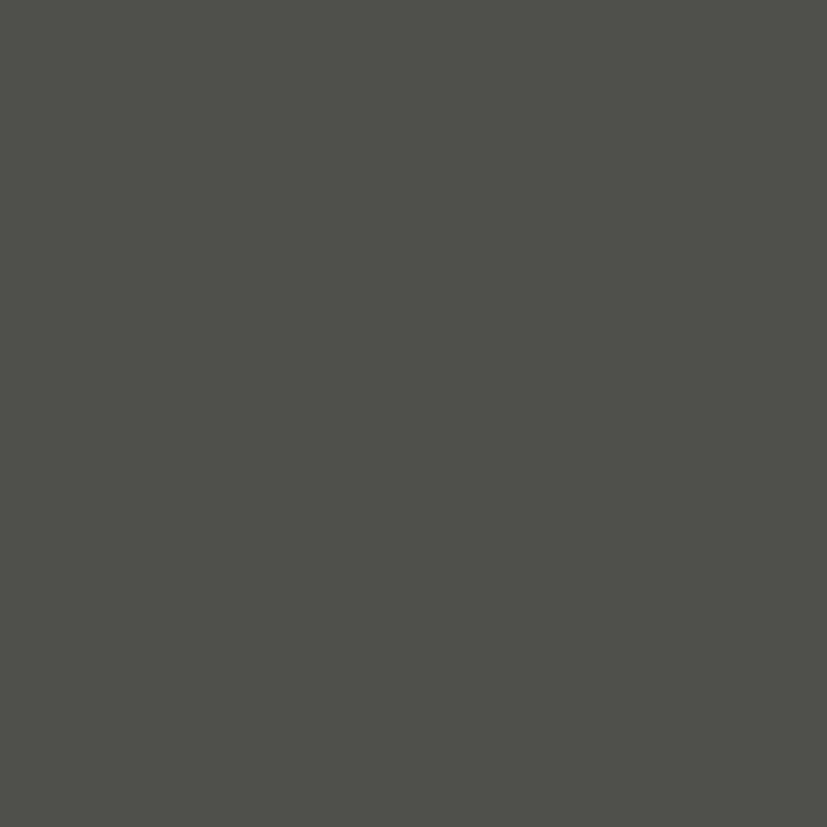 Dupli-Color EBCL01257 Clear Perfect Match Automotive Top Coat - 8 oz. Aerosol - Colors E