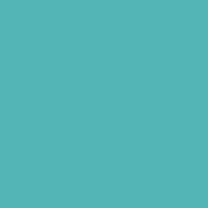 Dupli-Color EBCL01257 Clear Perfect Match Automotive Top Coat - 8 oz. Aerosol - Colors D