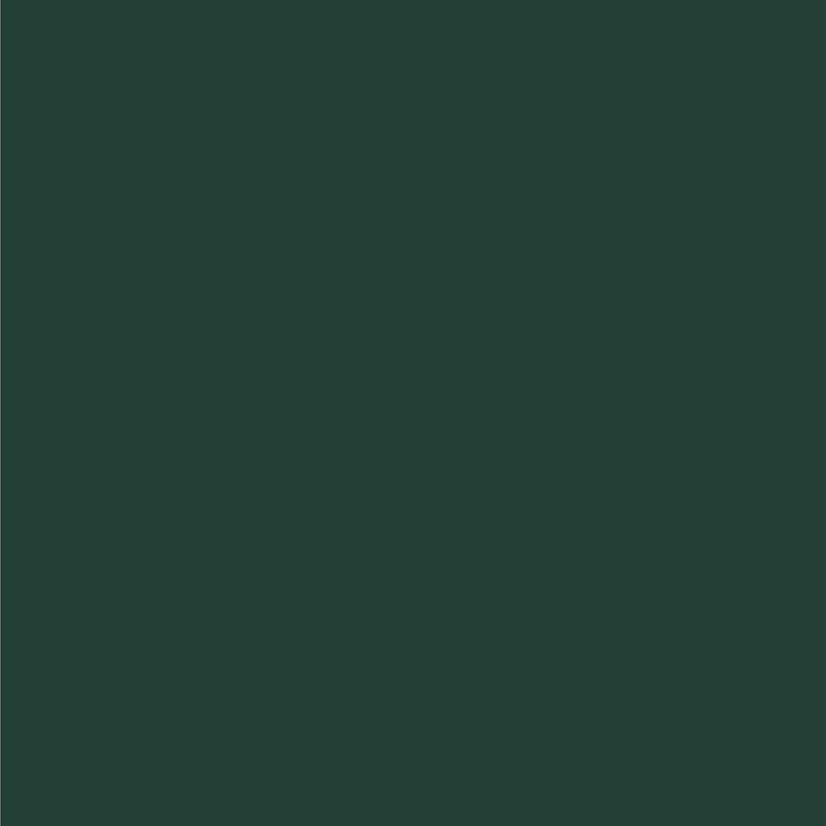 Dupli-Color EBCL01257 Clear Perfect Match Automotive Top Coat - 8 oz. Aerosol - Colors C