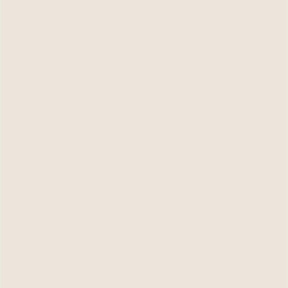 Dupli-Color EBCL01257 Clear Perfect Match Automotive Top Coat - 8 oz. Aerosol - Colors B