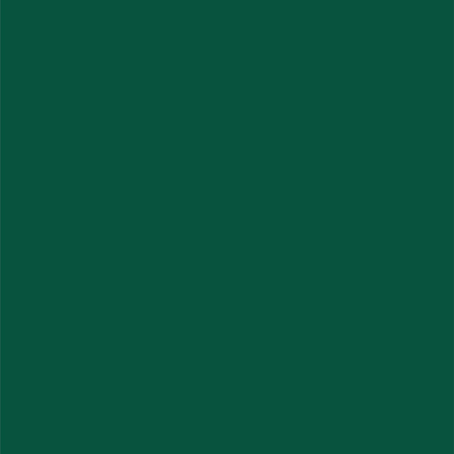 Dupli-Color EBCL01257 Clear Perfect Match Automotive Top Coat - 8 oz. Aerosol - Colors E