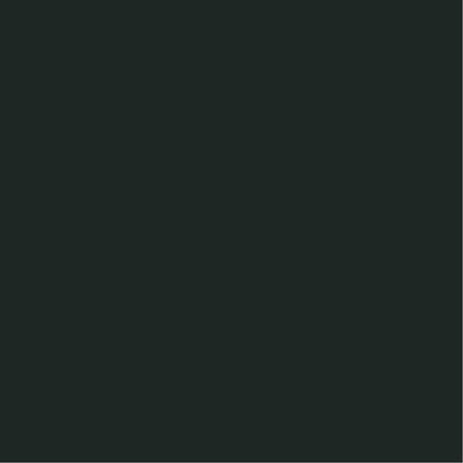 Dupli-Color EBCL01257 Clear Perfect Match Automotive Top Coat - 8 oz. Aerosol - Colors B