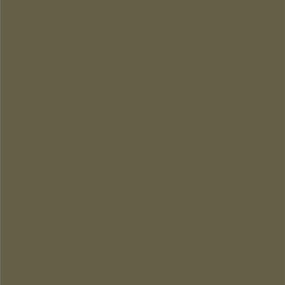 Dupli-Color EBCL01257 Clear Perfect Match Automotive Top Coat - 8 oz. Aerosol - Colors E