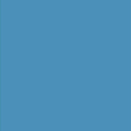 Dupli-Color EBCL01257 Clear Perfect Match Automotive Top Coat - 8 oz. Aerosol - Colors A