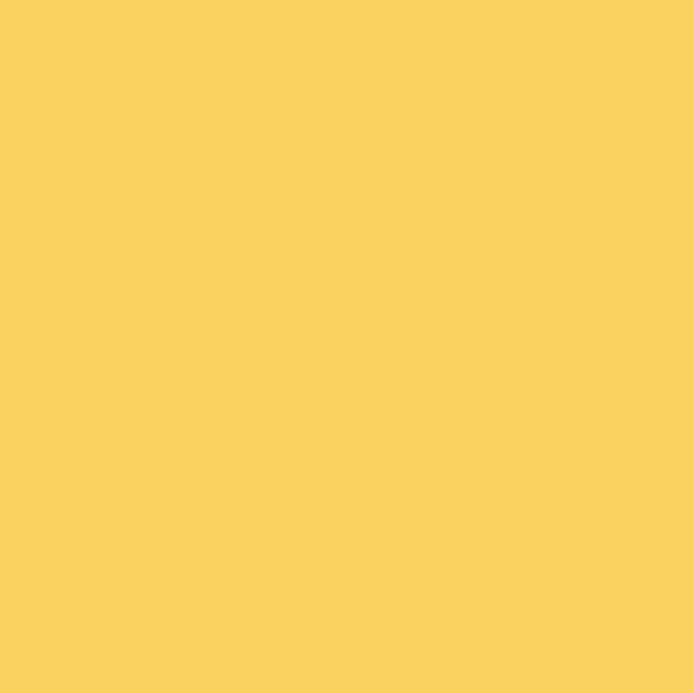 Rust-Oleum 271903 Acrylic Enamel 2X Spray Paint, 12 oz, Gloss Black, (Pack of 1)