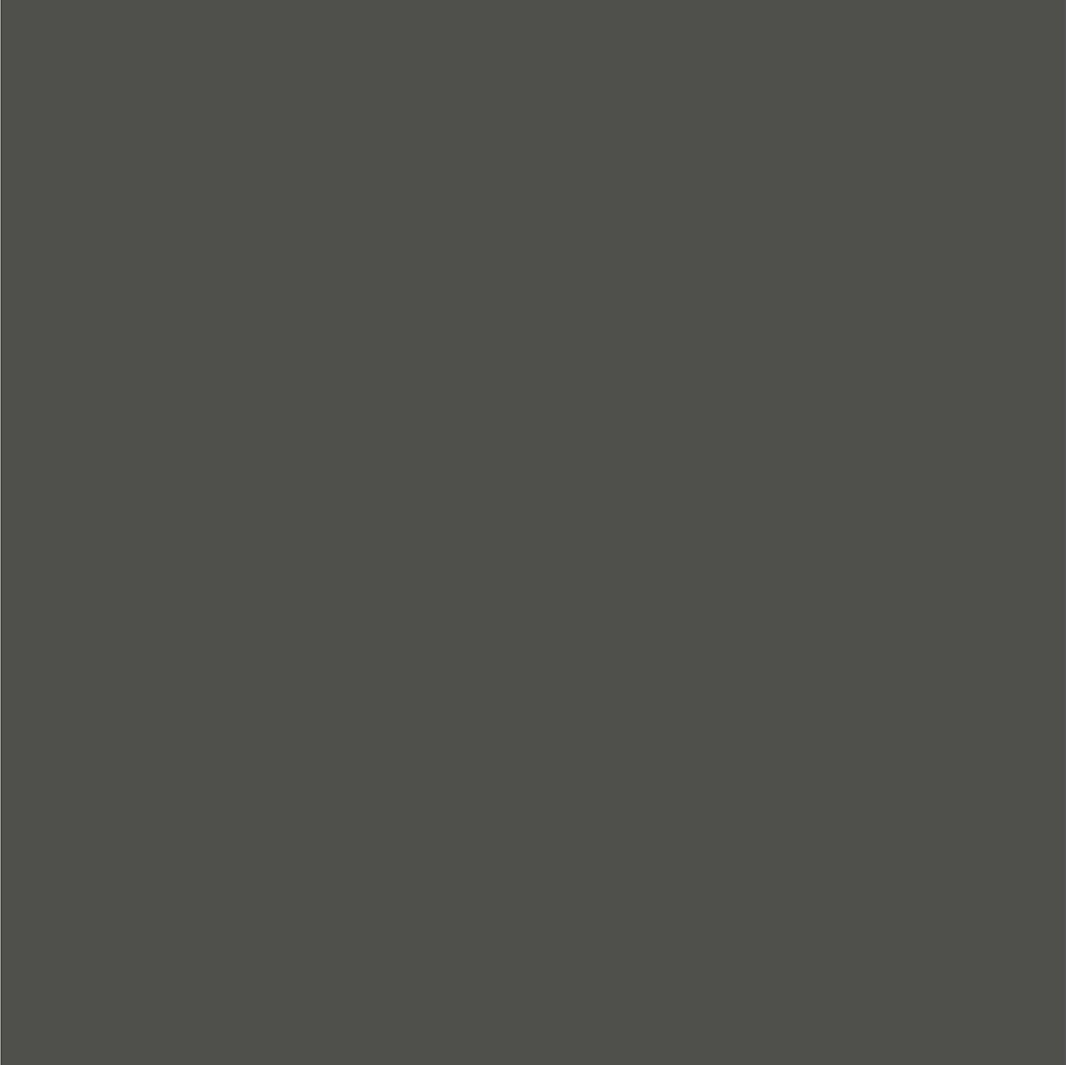 Dupli-Color EBCL01257 Clear Perfect Match Automotive Top Coat - 8 oz. Aerosol - Colors B