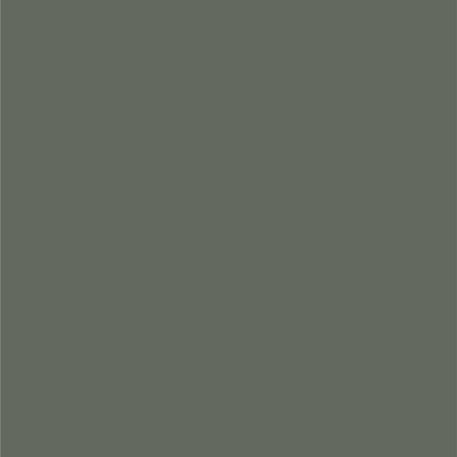 Dupli-Color EBCL01257 Clear Perfect Match Automotive Top Coat - 8 oz. Aerosol - Colors E