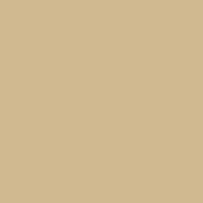 Dupli-Color EBCL01257 Clear Perfect Match Automotive Top Coat - 8 oz. Aerosol - Colors B