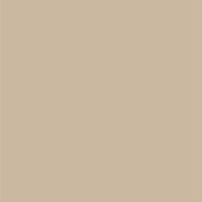 Dupli-Color EBCL01257 Clear Perfect Match Automotive Top Coat - 8 oz. Aerosol - Colors B