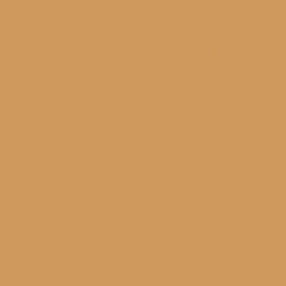 Rust-Oleum 334029 Painter's Touch 2X Ultra Cover Spray Paint, 12 oz, Gloss Clear - Colors A