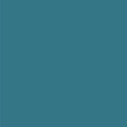 Dupli-Color EBCL01257 Clear Perfect Match Automotive Top Coat - 8 oz. Aerosol - Colors C