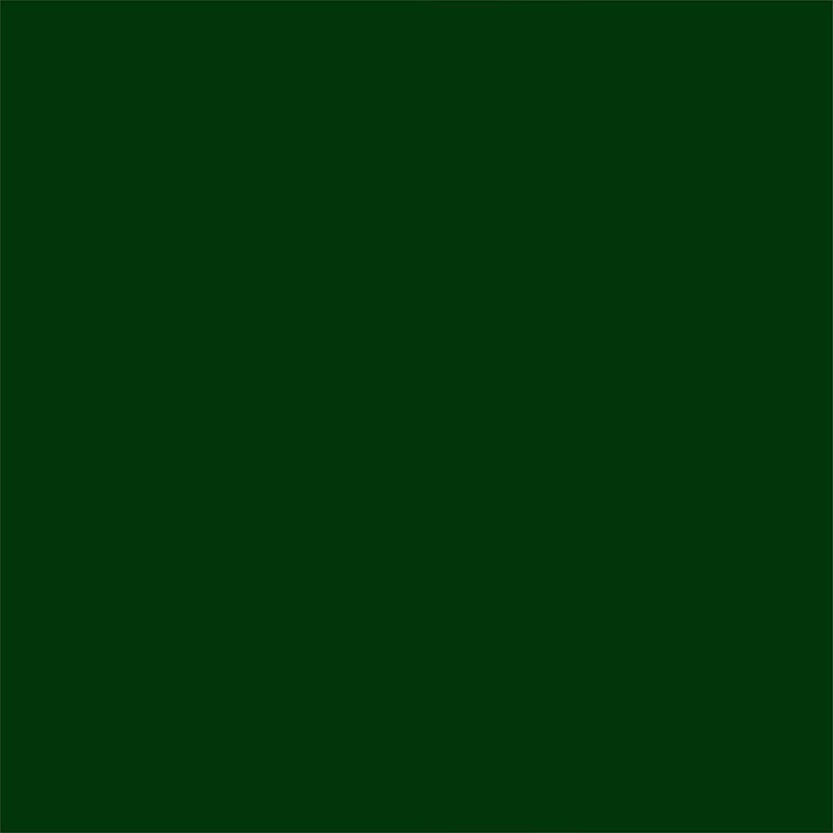 Rust-Oleum 334029 Painter's Touch 2X Ultra Cover Spray Paint, 12 oz, Gloss Clear - Colors D