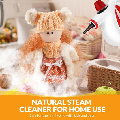 Handheld Pressurized Steam Cleaner with 12 pcs Accessories, Steamer for Cleaning, Steam Cleaner for Home Use, Steamer for Cleaning Car, Furniture, Floor, Upholstery, Grout and Tile, Deep Gray