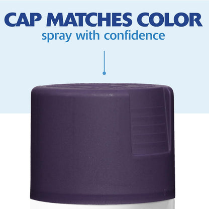 Rust-Oleum 334029 Painter's Touch 2X Ultra Cover Spray Paint, 12 oz, Gloss Clear - Colors F