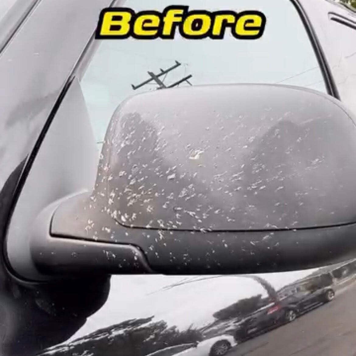 BUG & TAR Remover for Cars, RV and Trucks Professional Detailing Product 16 oz
