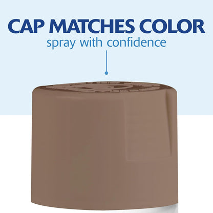 Rust-Oleum 334029 Painter's Touch 2X Ultra Cover Spray Paint, 12 oz, Gloss Clear - Colors E
