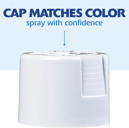 Rust-Oleum 334029 Painter's Touch 2X Ultra Cover Spray Paint, 12 oz, Gloss Clear - Colors F