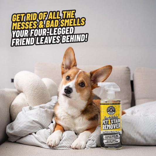 Chemical Guys Furbidden Pet Stain Remover for Car & Home, Carpet & Upholstery Cleaner, Eliminates Pet Odors & Stains from Urine & Vomit, Multi-Surface Pet Odor Neutralizer - 16 oz