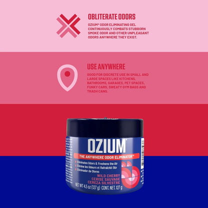 Ozium 4.5 Oz. Odor Eliminating Gel for Homes, Cars, Offices and More, Original, 4 Pack