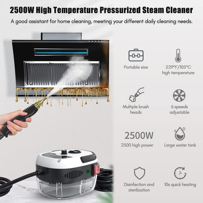 2500W Handheld Steam Cleaner High Temperature Pressurized Steam Cleaning Machine Portable Car Steamer with Brush Heads (Red)
