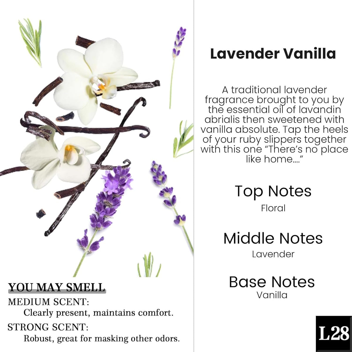 HoogaLife Car Air Freshener Diffuser 2 Pack Hanging Air Freshener Diffuser - Vanilla Cream Fragrance Oil Air D iffuser for Car, 45+ days Long Lasting Fragrance Made in USA C ar Air Fresheners (V54)