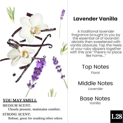 HoogaLife Car Air Freshener Diffuser 2 Pack Hanging Air Freshener Diffuser - Vanilla Cream Fragrance Oil Air D iffuser for Car, 45+ days Long Lasting Fragrance Made in USA C ar Air Fresheners (V54)