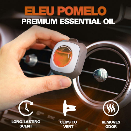 Air Jungles New Car Scent Car Air Freshener Vent Clip, 6 Count Long Lasting Up to 180 days, Natural Essential Oil Car Fragrance Accessories for Women and Men, Odor Eliminator - 4ml Each