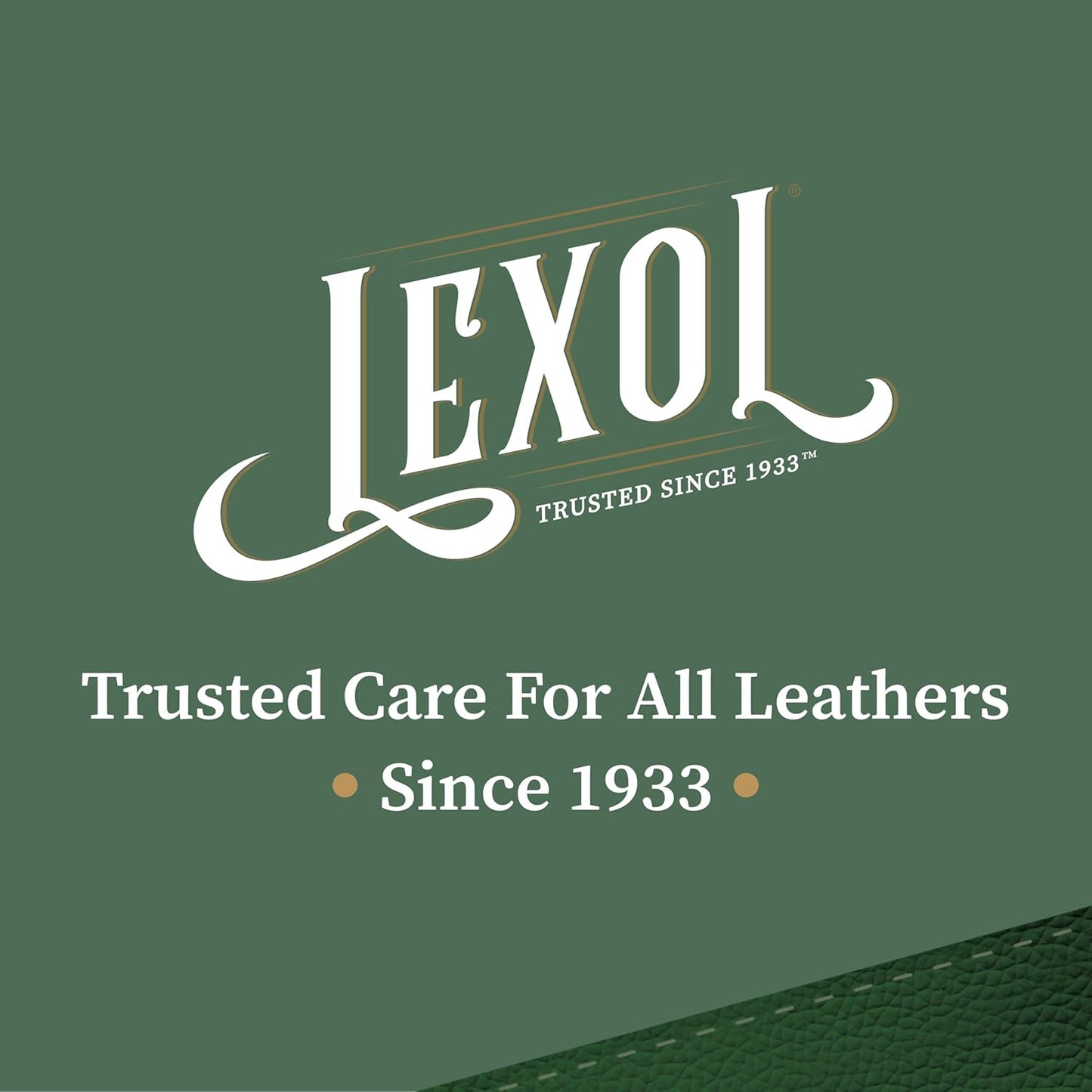 Lexol All Leather Cleaner, Naturally Derived Leather Care Cleaner with Aloe Vera, Great for Car Interiors, Boots, Furniture, Bags, Jackets and More, 16.9 fl oz