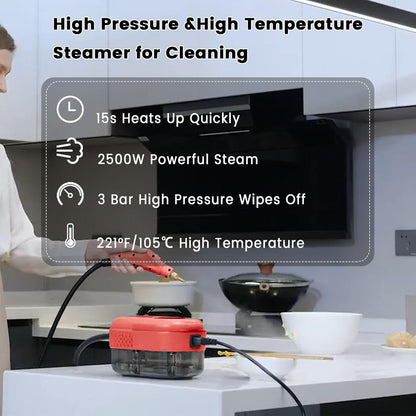 2500W Handheld Steam Cleaner,Portable Car Steamer For Auto Detailing,High-Temperature and Pressure Steam Cleaner For Home, Steam Cleaning Machine for Furniture,Kitchen,Grout,Floor,Tile (Gray)
