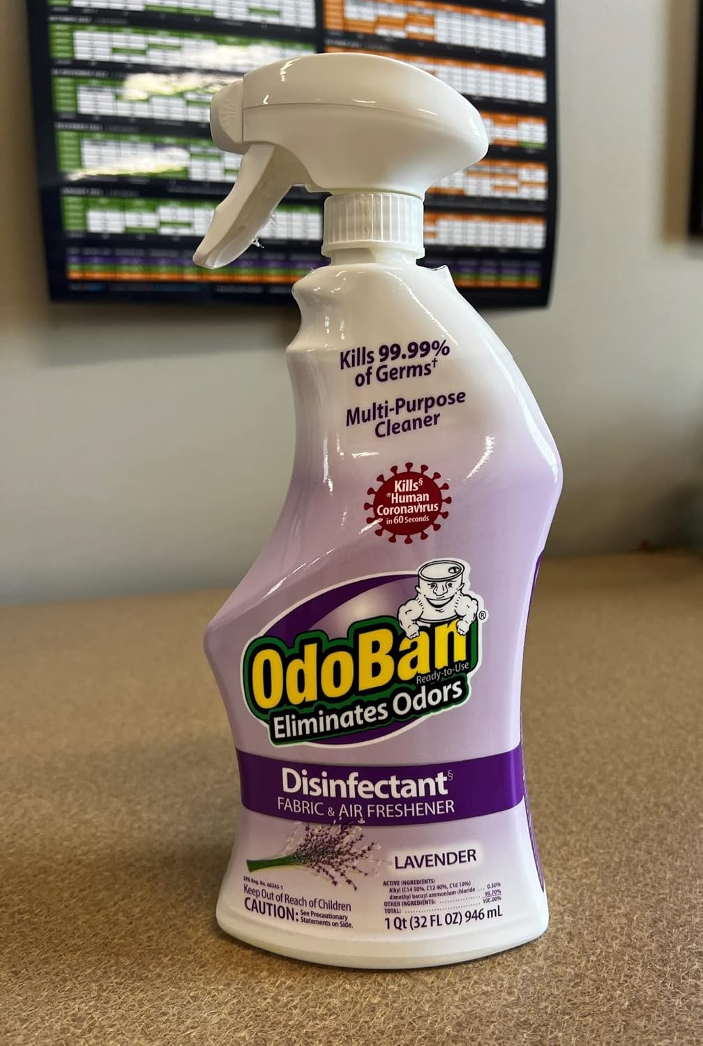 OdoBan Ready-to-Use Disinfectant and Odor Eliminator, 32 Ounce Spray Bottle, Original Eucalyptus Scent