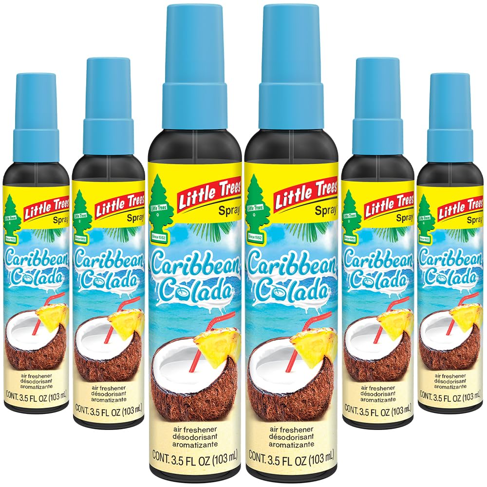 LITTLE TREES Car Air Freshener | Spray Provides a Long-Lasting Scent for Auto or Home | On-the-go Freshness | Black Ice, 6 Air Fresheners