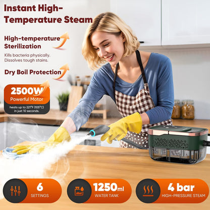 Steam Cleaner, 2500W Home Handheld Grout Steam Cleaning Machine with 1.32QT Transparent Tank & 10 Attachments for Range Hood, Stove, Tile, Upholstery, Car Detailing & More (Green/Gold)
