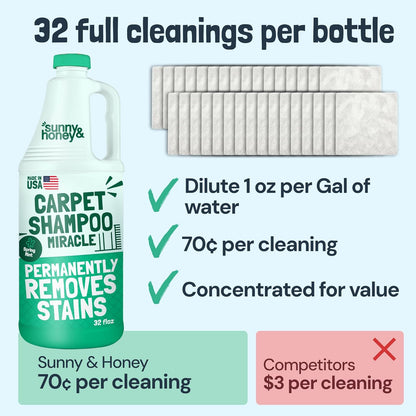 Sunny & Honey Heavy Duty Carpet Cleaner Solution for Machines - Powerful Stain and Surface Odor Eliminator For New and Deep-set Pet Messes - For Rugs, Couches and Upholstery (32fl oz, Spring Mint)