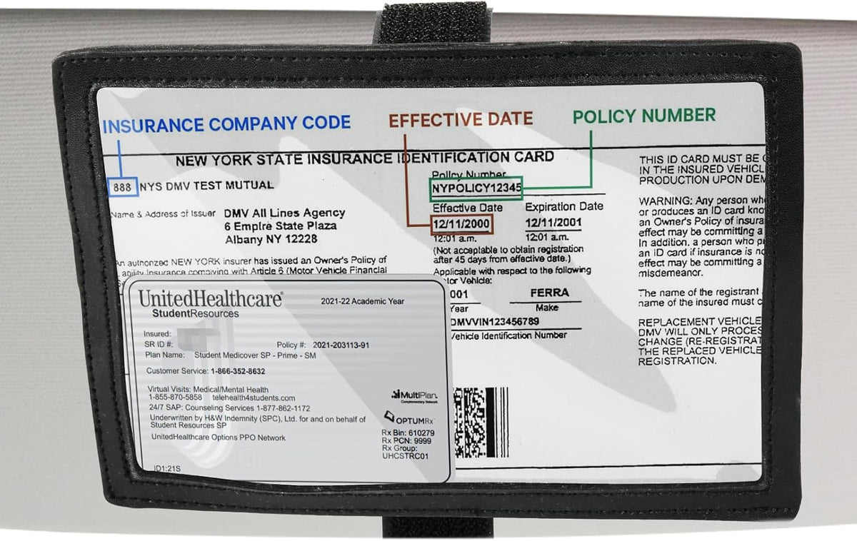 Registration Insurance Card Document Holder for Visor, Carrying Case for Registration and Insurance, Adjustable Visor Bag Drivers License Holder for Photo, Fit Most Car, SUV and Truck (Horizontally)