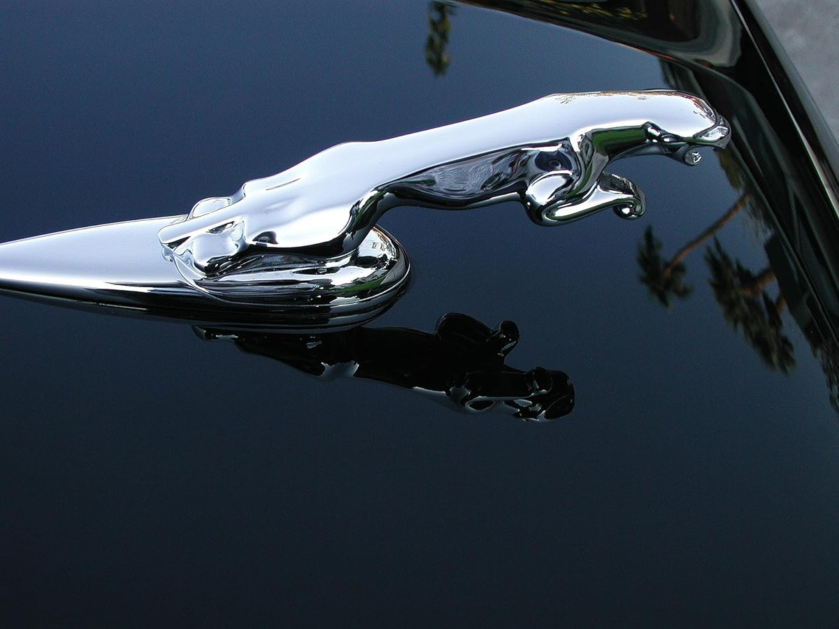 P21S 12700W Carnauba Wax