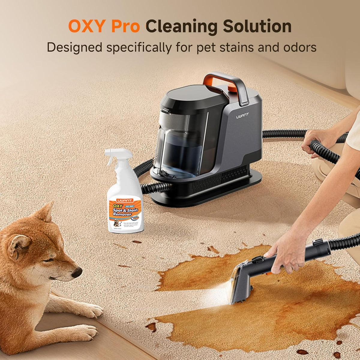 Uwant Carpet Cleaner Machine 18Kpa Powerful Suction, Portable Carpet Cleaner with Cleaning Tools&Self-cleaning Upholstery Cleaner for Cars,Sofa Set of 1