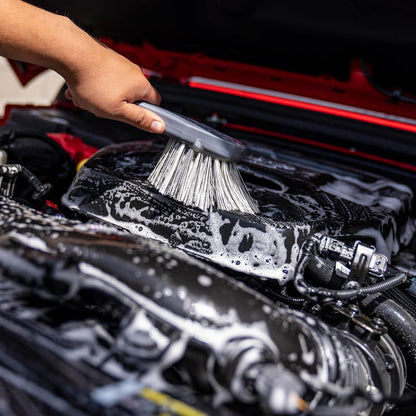 Chemical Guys Wheelie All Exterior Surface and Wheel Brush, Wheel Cleaner Brush with Soft Bristles, Safe Cleaning of Rims, Tires, and Exterior Surfaces on Cars, Trucks, Motorcycles, RVs, & More, Green