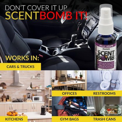 Scent Bomb Air Freshener Spray, Long-Lasting Odor Eliminator - Effective Deodorizer for Home & Car, Fresh Room Spray for Kitchen, Bathroom & Smell Neutralizer - 1 oz Pack of 4, Black Cherry Scent