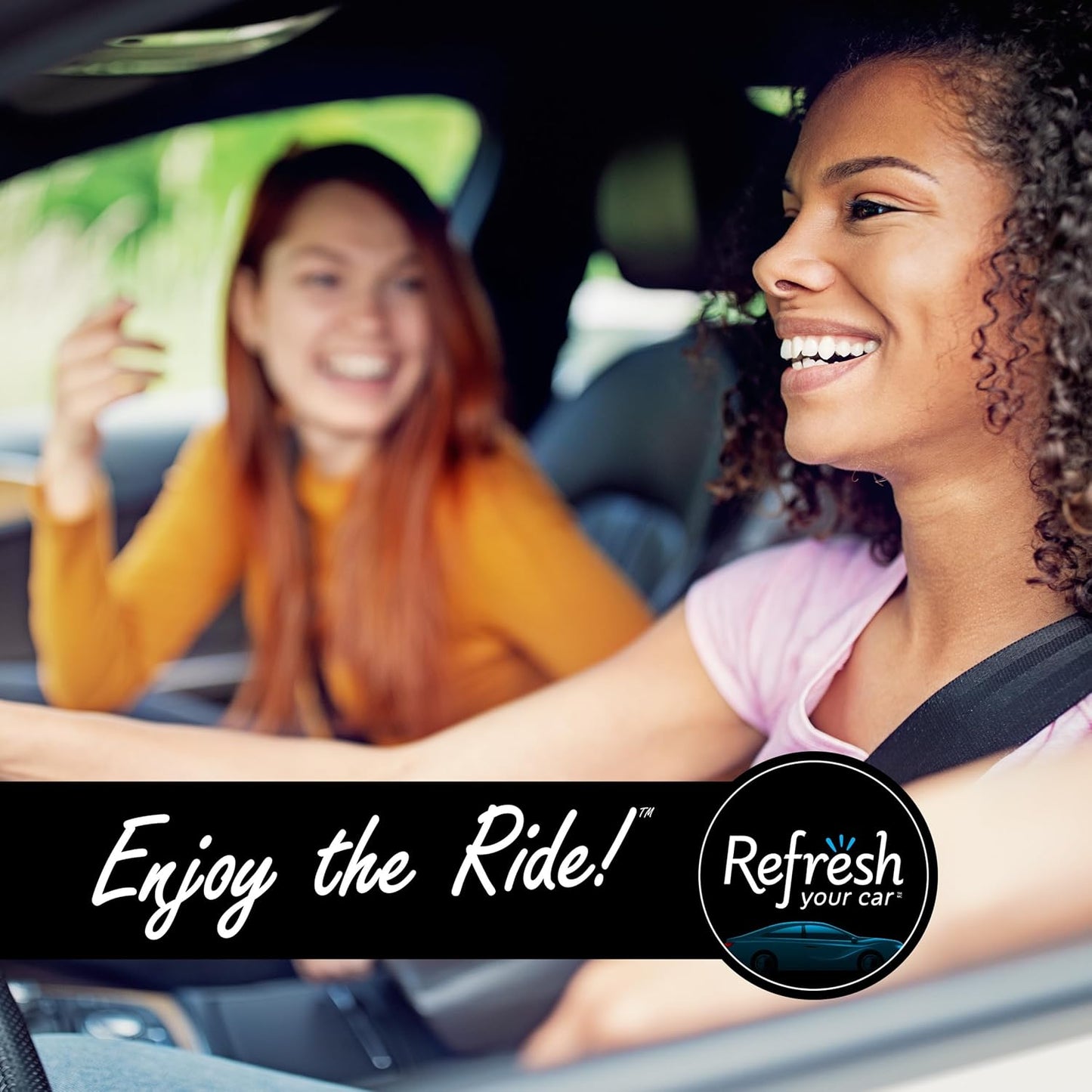 Refresh Your Car! Air Freshener (Alpine Meadow/Summer Breeze Scent, 2 Pack)