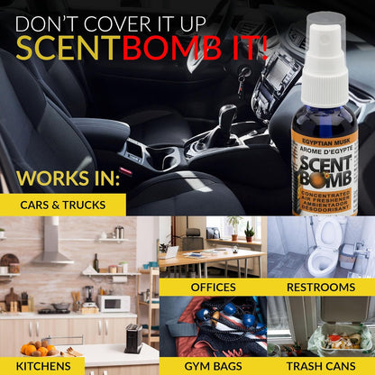 Scent Bomb Air Freshener Spray, Long-Lasting Odor Eliminator - Effective Deodorizer for Home & Car, Fresh Room Spray for Kitchen, Bathroom & Smell Neutralizer - 1 oz Pack of 4, Black Cherry Scent